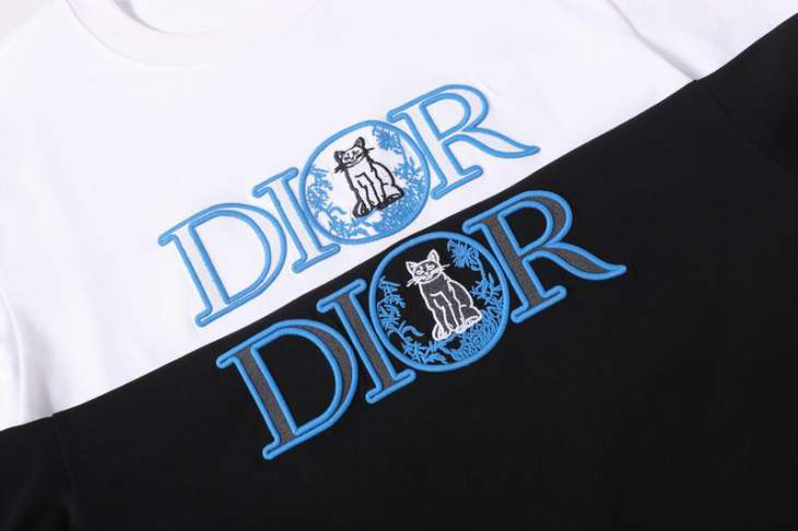 Dior T Shirts Short _SKUDiorS-2XL12dtr0616161